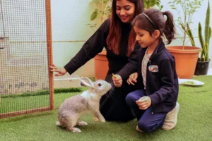 School Rabbit