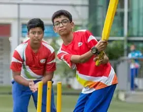 Cricket
