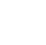 TikTok Icon